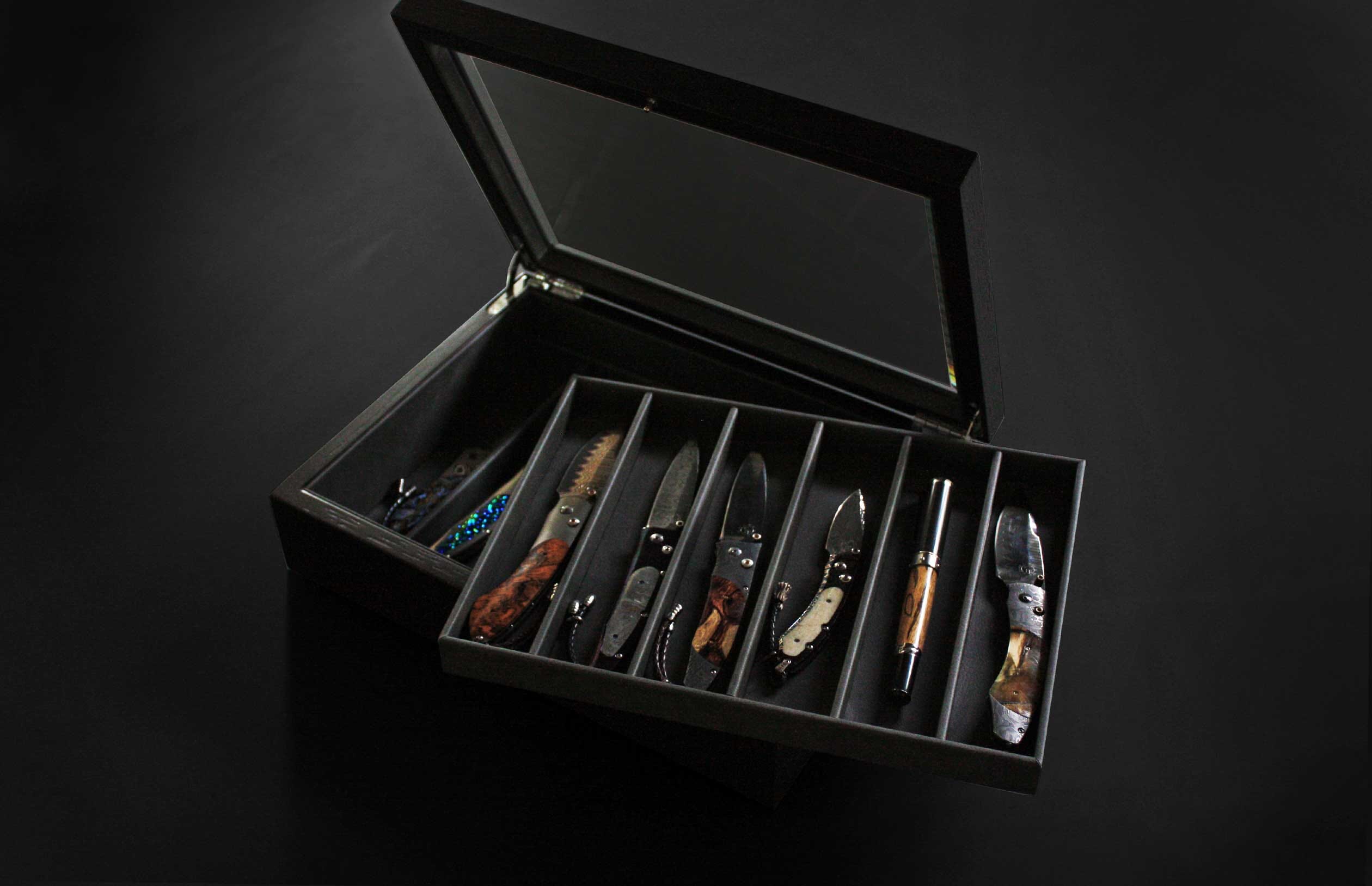 Collectors Deluxe Display Case